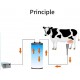 BEETLA Electric Pulsation Milking Machine 5L Portable Cow Milking Machine with 2 Teat Milker with Automatic Stop Device