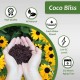 Plantonix Coco Coir Brick, OMRI Listed for Organic Use (50 Bricks)