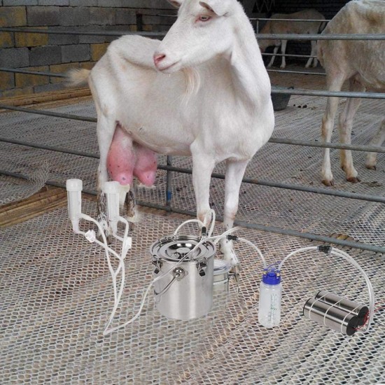 Yutiny 5L Electric Milking Machine Portable Goat Sheep Ewes Milker Cow Milking Kit Impulse Milking Machine for Home Small-scalefarm