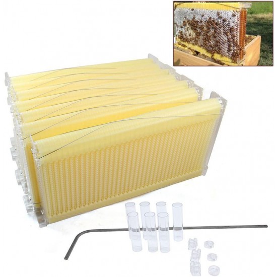 TFCFL 7X Auto Hive Frames Honey Beehive Frames Kit Beekeeping Honey Raw Harvesting Upgraded (Bee Frames Only)