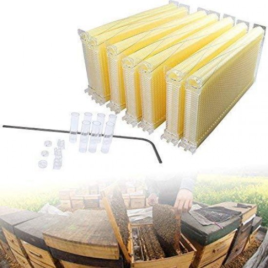 TFCFL 7X Auto Hive Frames Honey Beehive Frames Kit Beekeeping Honey Raw Harvesting Upgraded (Bee Frames Only)