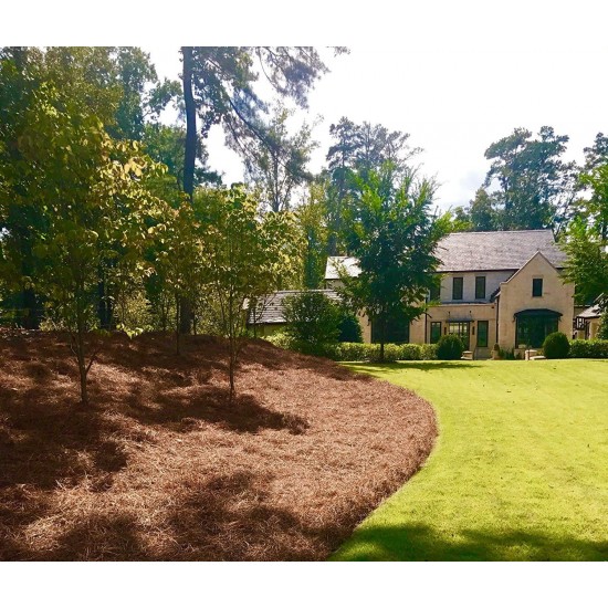 USA Pine Straw - Premium Pine Needle Mulch - Covers 300 Sqft