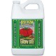 FoxFarm Grow Big Soil Liquid Concentrate Fertilizer, 1 Gallon