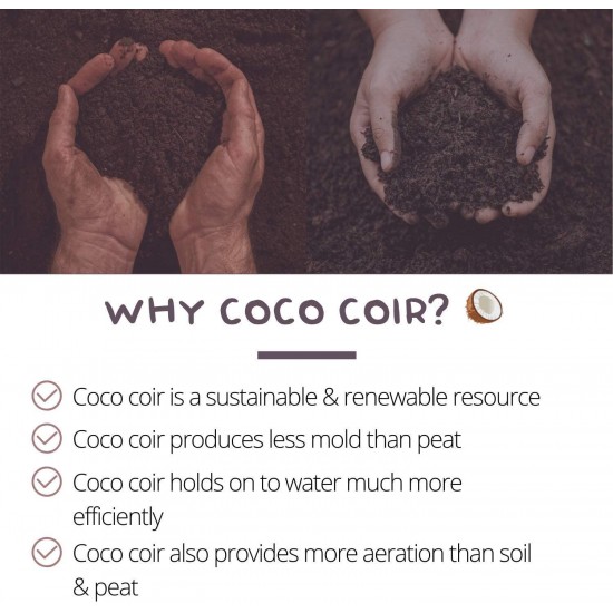 Pure Coco Coir Netted Seed Starting Pellets - 30mm - Pack of 1000 - Renewable, Unamended - Superior to Peat Plugs - Self Contained Soil & Pot in One - Grow Garden Seedlings