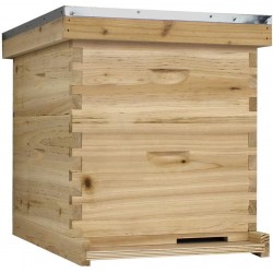 NuBee Starter 10 Frame Beehive Kit - Includes 1 Hive Body, 1 Super Box, Pine Frames, Wax Coated Foundations and More