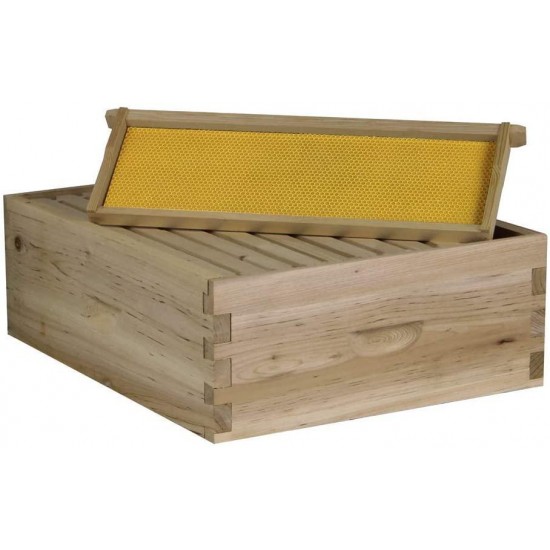 NuBee Starter 10 Frame Beehive Kit - Includes 1 Hive Body, 1 Super Box, Pine Frames, Wax Coated Foundations and More