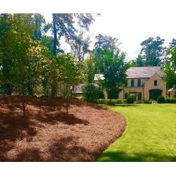 USA Pine Straw | On Sale | Premium Pine Needle Mulch - 210 Sqft.