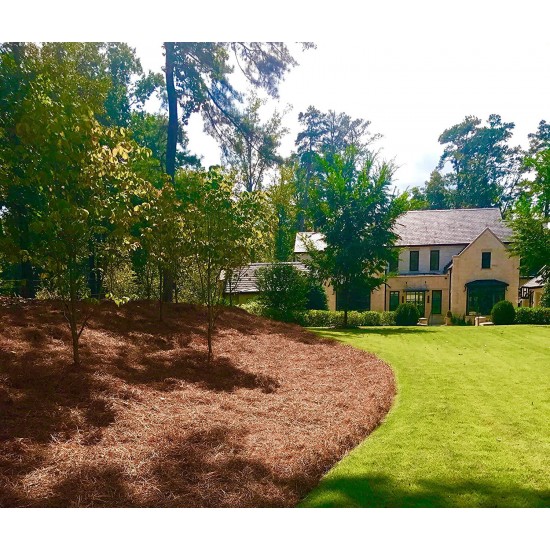 USA Pine Straw | On Sale | Premium Pine Needle Mulch - 210 Sqft.