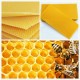 30Pcs Beehive Brood Box Wired Wax Foundation Honeycomb Sheets Beekeeping Tools