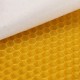 30Pcs Beehive Brood Box Wired Wax Foundation Honeycomb Sheets Beekeeping Tools