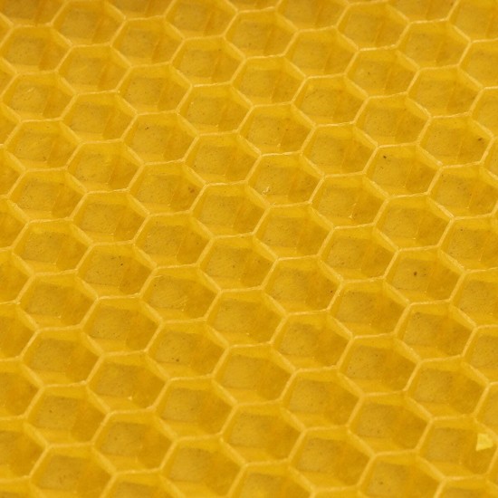 30Pcs Beehive Brood Box Wired Wax Foundation Honeycomb Sheets Beekeeping Tools