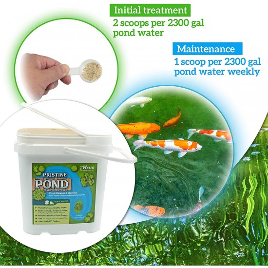 Pristine Pond Cleaner and Clarifier with highly concentrated Beneficial Bacteria. Reduces Muck, Solids, and Sludges in Lagoons, Ponds, Water Features. Safe for Koi (8.00, 8 Pounds)