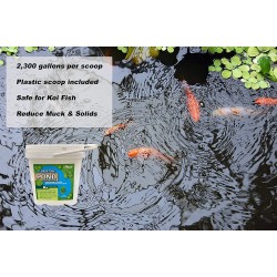 Pristine Pond Cleaner and Clarifier with highly concentrated Beneficial Bacteria. Reduces Muck, Solids, and Sludges in Lagoons, Ponds, Water Features. Safe for Koi (8.00, 8 Pounds)