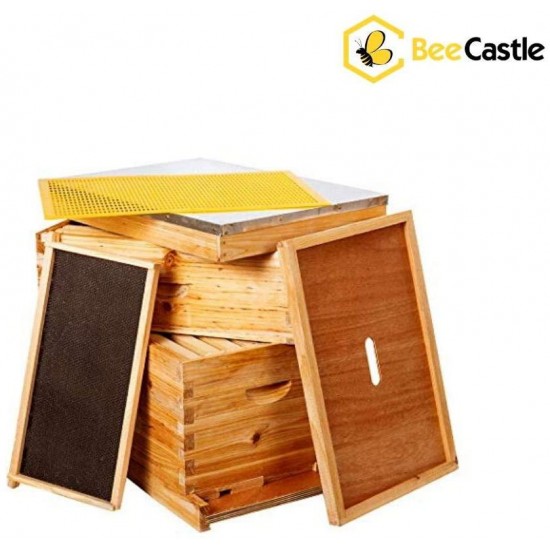 8-Frames Complete Beehive Kit, Wax Coated Bee Hive Includes Frames and Beeswax Coated Foundation Sheet (2 Layer)