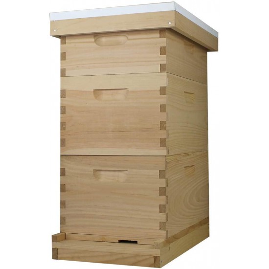 Amish Made in USA Complete 8 Frame Langstroth Bee Hive includes Frames and Foundations (2 Deep, 1 Medium)