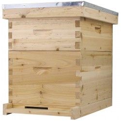 Starter Bee Hive with Frames & Wax Coated Foundations (NU8-1D1M)