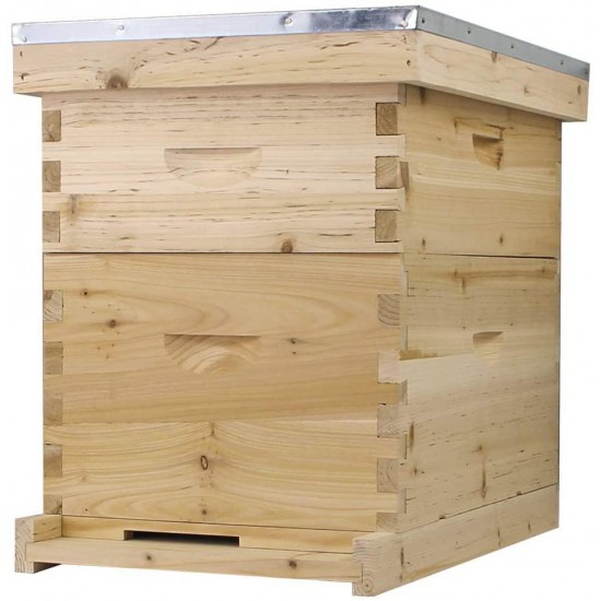 Starter Bee Hive with Frames & Wax Coated Foundations (NU8-1D1M)