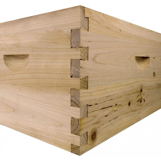 Starter Bee Hive with Frames & Wax Coated Foundations (NU8-1D1M)