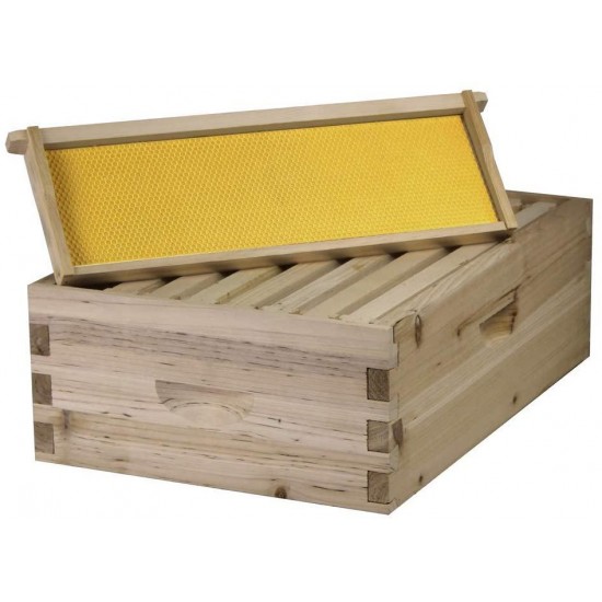 Bee Hive Complete with Frames & Wax Coated Foundations (NU8-2D1M)