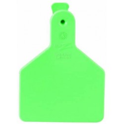 Z Tags 100 Count 1-Piece Blank Tags for Calves, Green