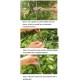 BAOSHISHAN Garden Grafting Tool Pruning Shears 4/5 Inch Cutting Depth/Diameter Budding Vaccination Knife Cutting Pruner for Branches/Trees/Vines