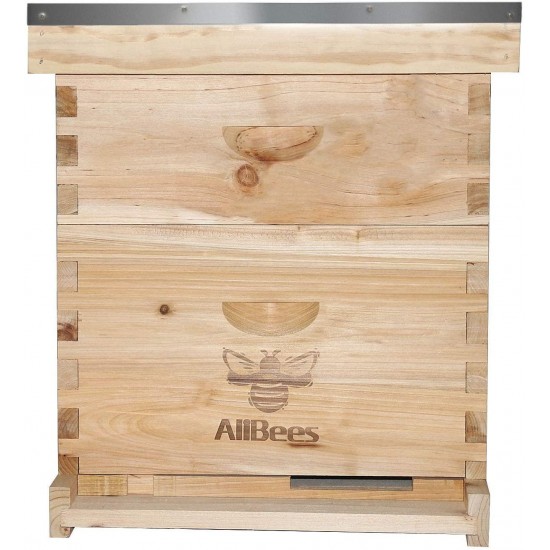 AliBees Bee Hive with 10 Medium &10 Deep Honeycomb Foundation Frames, Includes Cedarwood Frames & Foundation for Beekeeping(2 Layer)