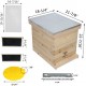 AliBees Bee Hive with 10 Medium &10 Deep Honeycomb Foundation Frames, Includes Cedarwood Frames & Foundation for Beekeeping(2 Layer)