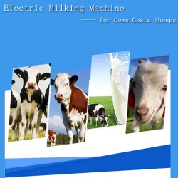 25L Electric Milking Machine Milker for Cows Goats Sheep with Stainless Steel Bucket Portable Milking Machine for Ewe Farm Suction Milk Machine 6.6Gallon 110V(3-7Days Fast Delivery)