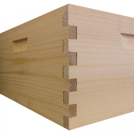 Amish Made in USA Complete Langstroth Bee Hive Includes Frames and Foundations (2 Deep, 2 Medium)