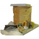 Cutler Supply, Inc Deluxe Beekeeping Starter Kit, Complete Hive, Tools, Jacket/Gloves, Smoker