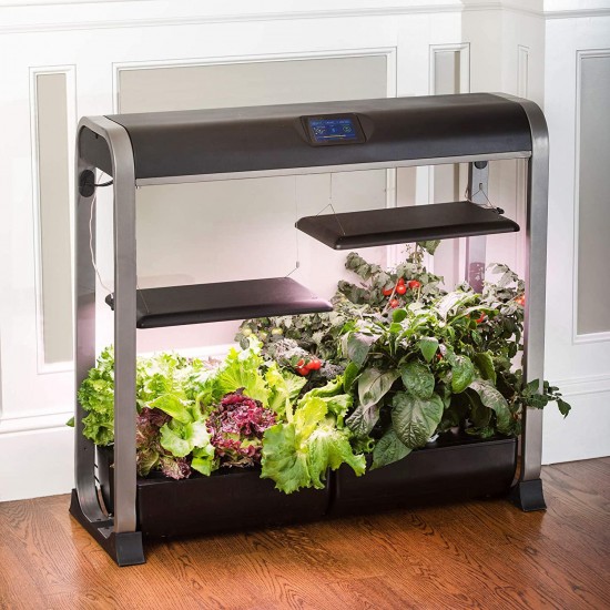 AeroGarden Farm 24Plus, w/Salad Bar Seed Kit, Black