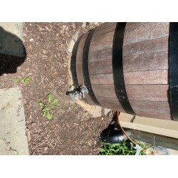 Real wood rain barrel made from whiskey barrel