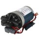 Delavan PowerFlo Electric Diaphragm Pump (7870-101E-SB)