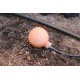 50 Olla Balls for Irrigation - Water Harvesting - Free Shipping