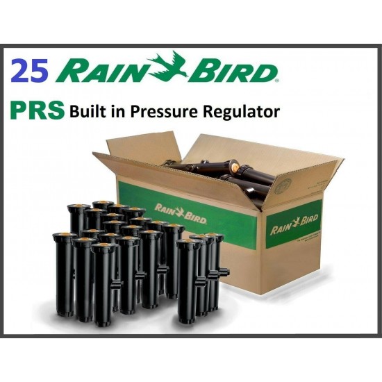 Rain Bird Prs30 SI Spray Head 6