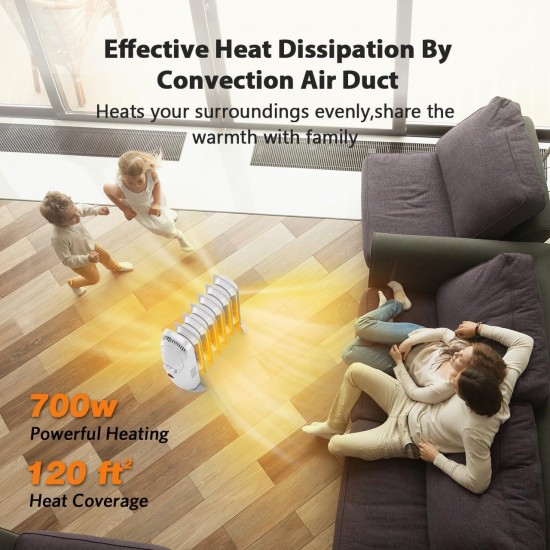 Indoor Quiet Heater Heat Up 120 Square Feet quickly, Automatic Power-off and Durable Radiator Heater