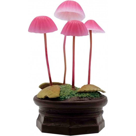 Qualia Mushroom Garden Blind Box Version 1 - Blind Box Includes 1 of 6 Collectable Figurines